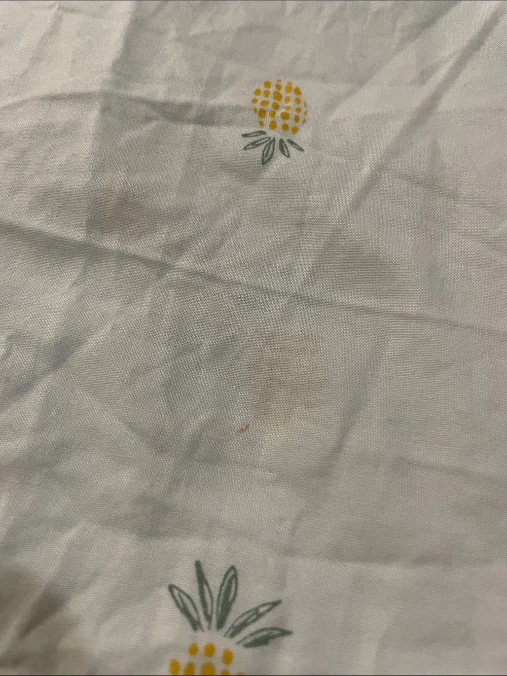 Carter's White Pineapple Button-Up Top with Sage Green Shorts
